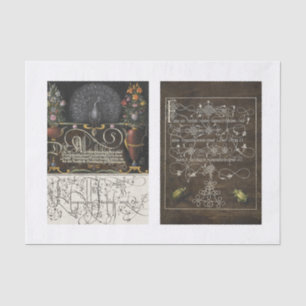 Peacock floral insect garden decoupage tissue paper