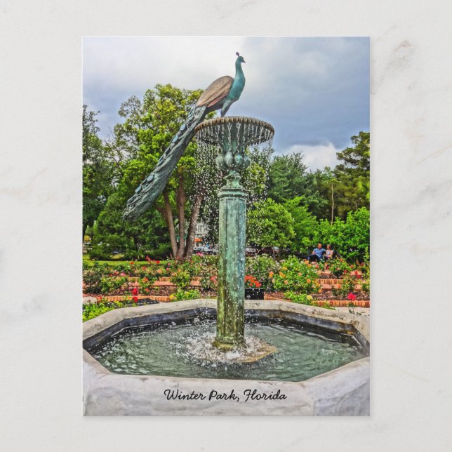 Peacock Fountain & Rose Garden in Winter Park FL Postcard (Front)