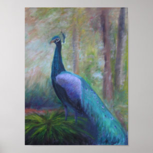 PEACOCK FROM THE FOUNTAIN OF YOUTH-Poster Poster