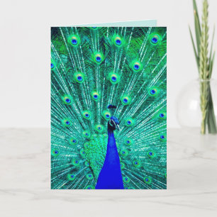 PEACOCK FUNNY BIRTHDAY GREETING CARD