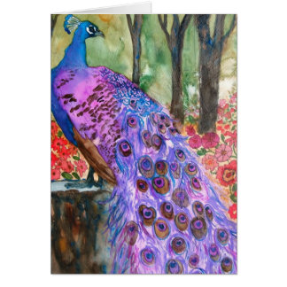 Peacock Garden