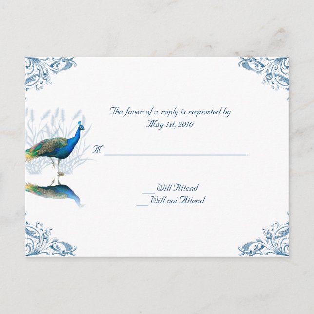 Peacock Garden in Blue and White Invitation Postcard (Front)