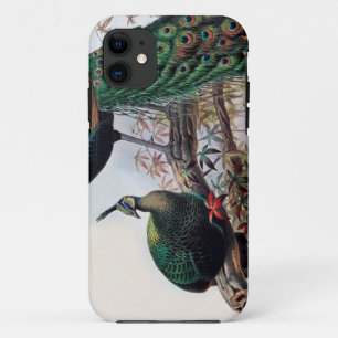 Peacock,green peafowl pavo muticus 1872 ... iPhone 11 case