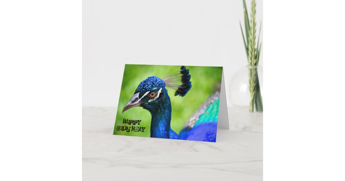 Peacock Happy Birthday Card | Zazzle