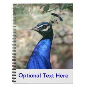 Peacock Head Closeup Notebook