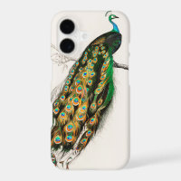 Peacock Illustration Vintage Art Print