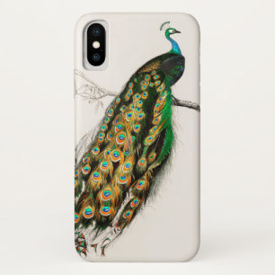 Peacock Illustration Vintage Art Print iPhone X Case