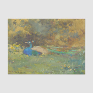 Peacock in a Garden by Mildred Anne Butler Tissue Paper