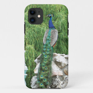 Peacock in A Garden iPhone SE case
