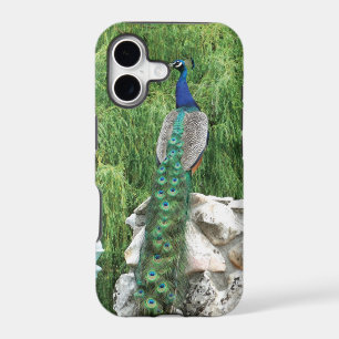 Peacock in A Garden iPhone SE case
