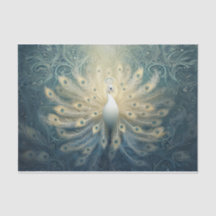 Peacock in Bloom, White Feathers, Elegance