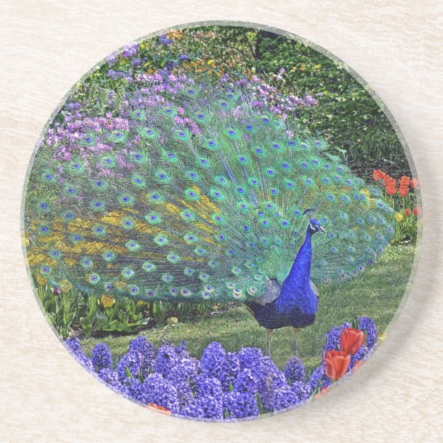 Peacock in Fowers #2 Coaster (Front)