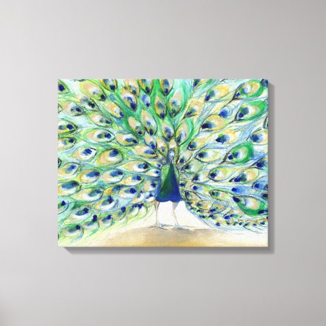 Peacock in San Diego 2 2013 Canvas Print (Front)