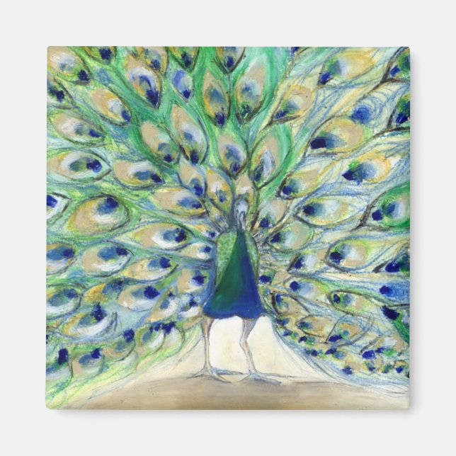 Peacock in San Diego 2 2013 Magnet (Front)