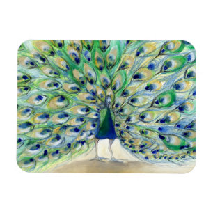 Peacock in San Diego 2 2013 Magnet