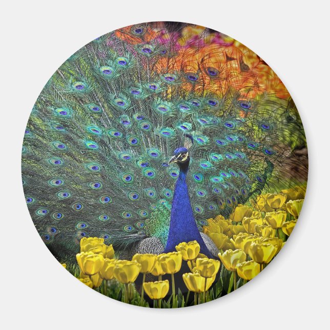 Peacock in Spring Flowers #1 Magnet (Front)