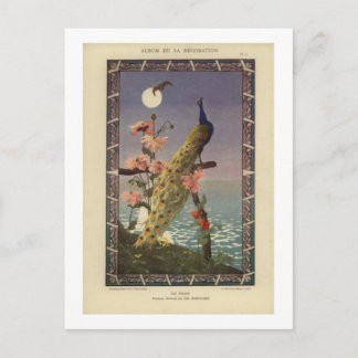 Peacock in the Moonlight Postcard