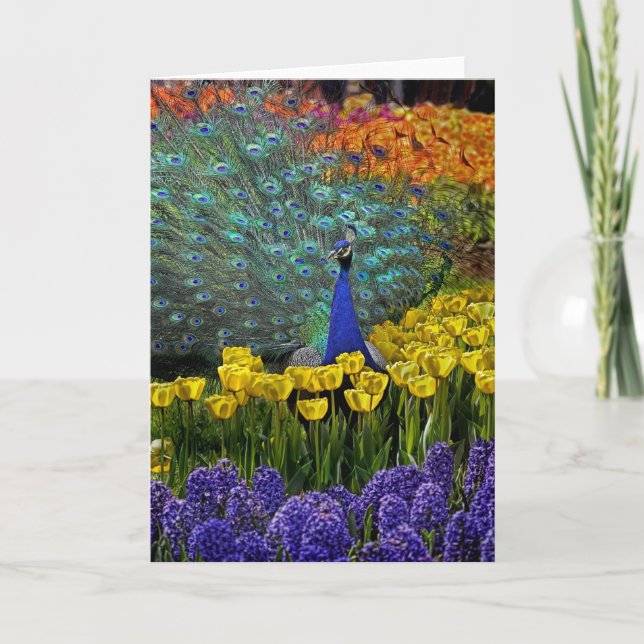 Peacock in Tulips Card (Front)