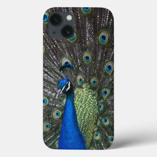 Peacock iPad Case