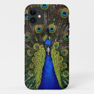 Peacock iPhone5 Case