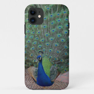 Peacock iPhone 5 Case