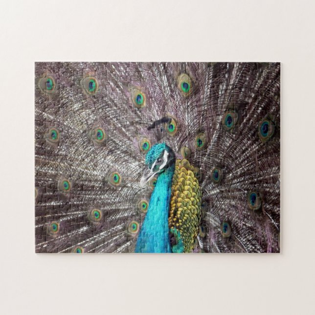 peacock jigsaw puzzle (Horizontal)