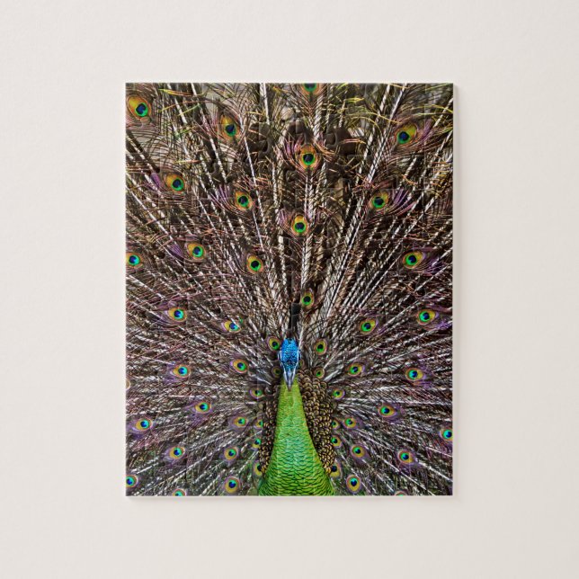 Peacock Jigsaw Puzzle (Vertical)