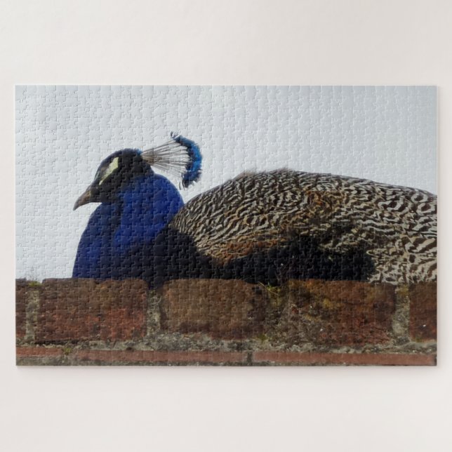 Peacock Jigsaw Puzzle (Horizontal)