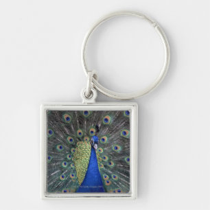 Peacock Key Ring