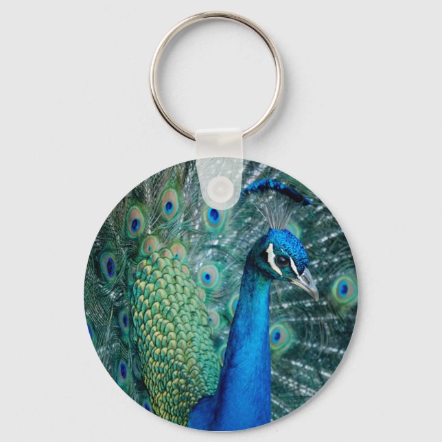 Peacock, keychain (Front)