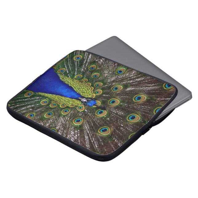Peacock Laptop Sleeves (Front Top)