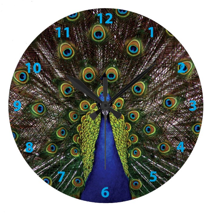 Peacock Large Clock Zazzle.co.uk