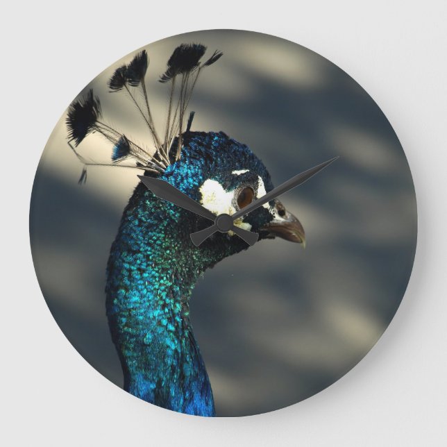 Peacock Large Clock (Front)
