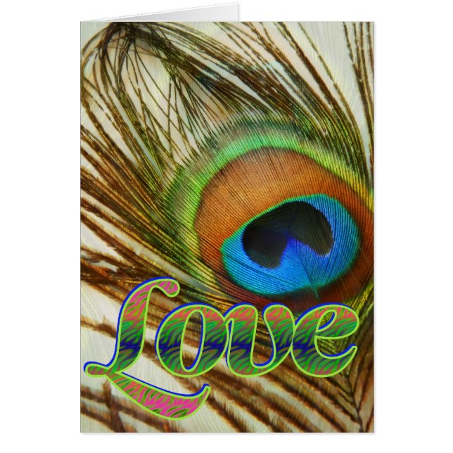 Peacock Love (Front)