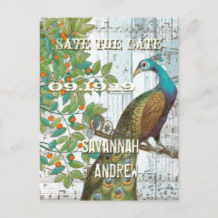 Peacock Love Bird Sitting in a Tree Save the Date Announcement Postcard