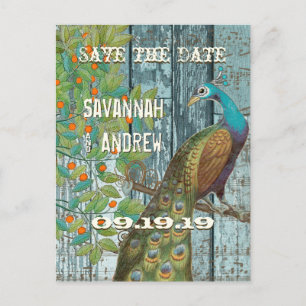 Peacock Love Bird Sitting in a Tree Save the Date Announcement Postcard