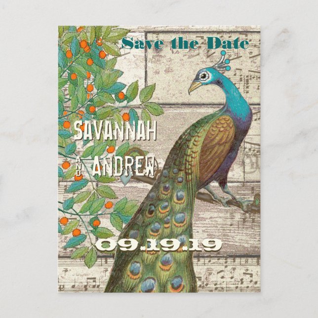 Peacock Love Bird Sitting in a Tree Save the Date Announcement Postcard (Front)