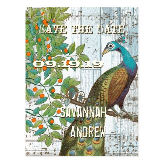 Peacock Love Bird Sitting in a Tree Save the Date Postcard