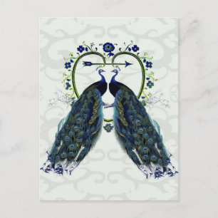 PEACOCK love heart, peafowl Postcard