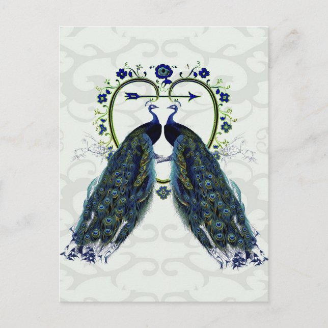 PEACOCK love heart, peafowl Postcard (Front)