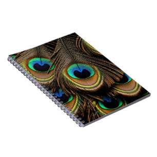 Peacock Love Notebook