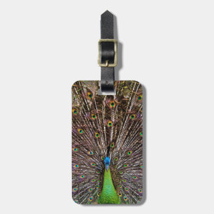 Peacock Luggage Tag