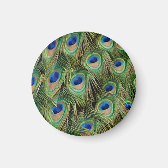 Peacock Magnet (Front)