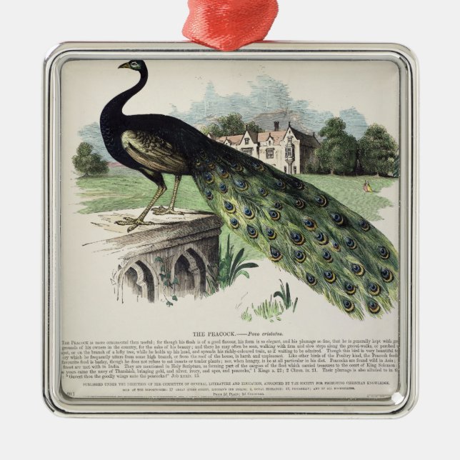 Peacock Metal Tree Decoration (Front)