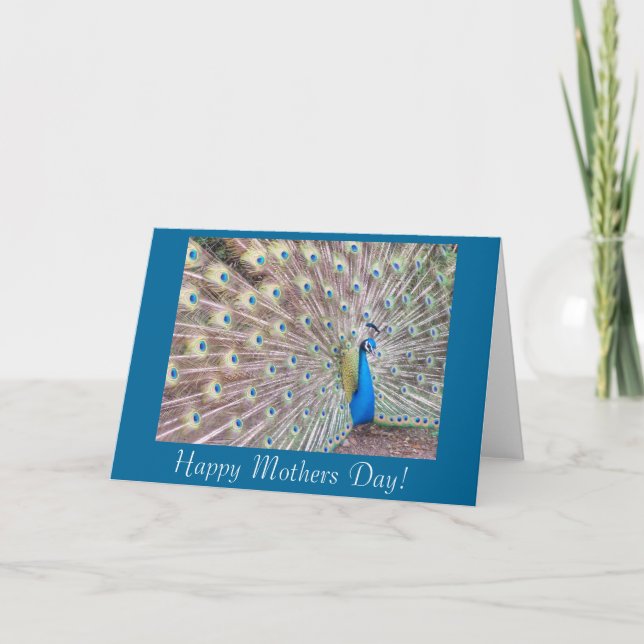 Peacock Mothers Day Card (Front)