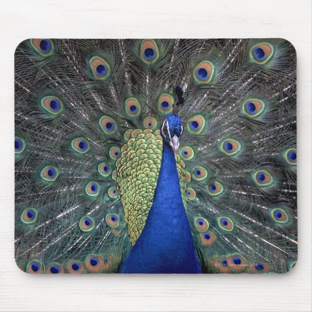 Peacock Mouse Mat (Front)