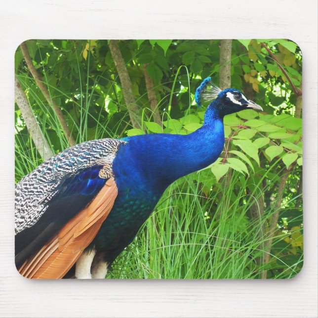 Peacock Mouse Mat (Front)