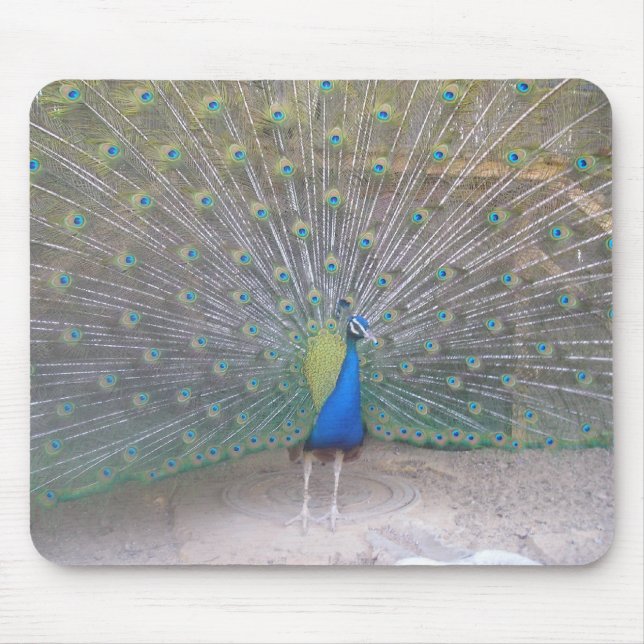 Peacock Mouse Mat (Front)