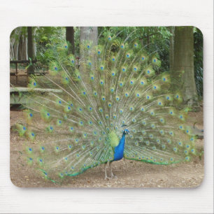 Peacock Mouse Mat
