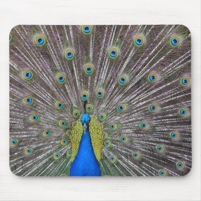 Peacock Mouse Mat (Front)